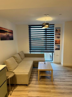 Lovely one -Bedroom Flat near Luton Airport 416